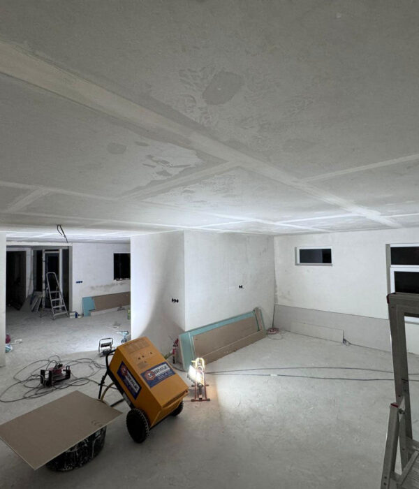 beste pleisterwerk diensten in dedemsvaart